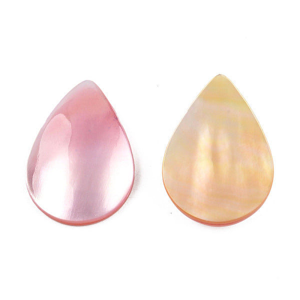 Natürliche Turbo Cornulus-Top Shell Cabochons