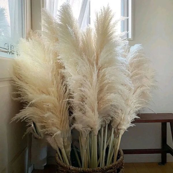 Decorative Flowers Wreaths Pampas Grass Large Tall xxl Fluffy Pampas Dried Flowers Boho Decor Plant for Vase Home Wedding Decor Flower ZZ