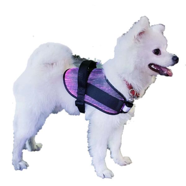 Outdoor Waterproof 7 Color Pet Dog Cat Golden Retriever Samoyed Fiber Optic Illumination Vest Clothes Collar Built-In Battery