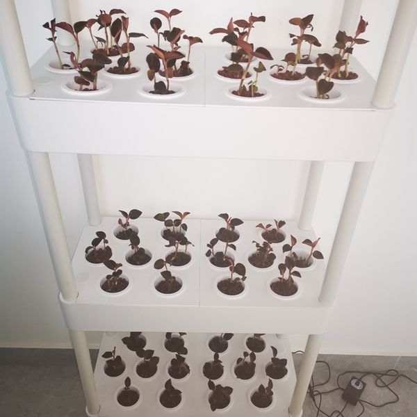 Garden Greenhouse Vertical Hydroponics Growing System LED Grow Lighs 4 Layers 56 Plants for Vegetables and Fruit