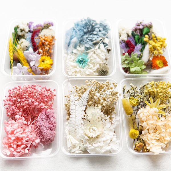 Dried Flowers 1box Natural for Epoxy Resin Casting Mold Fillings DIY Aromatherapy Candles Making Crafts Party Wedding Decoration 230111