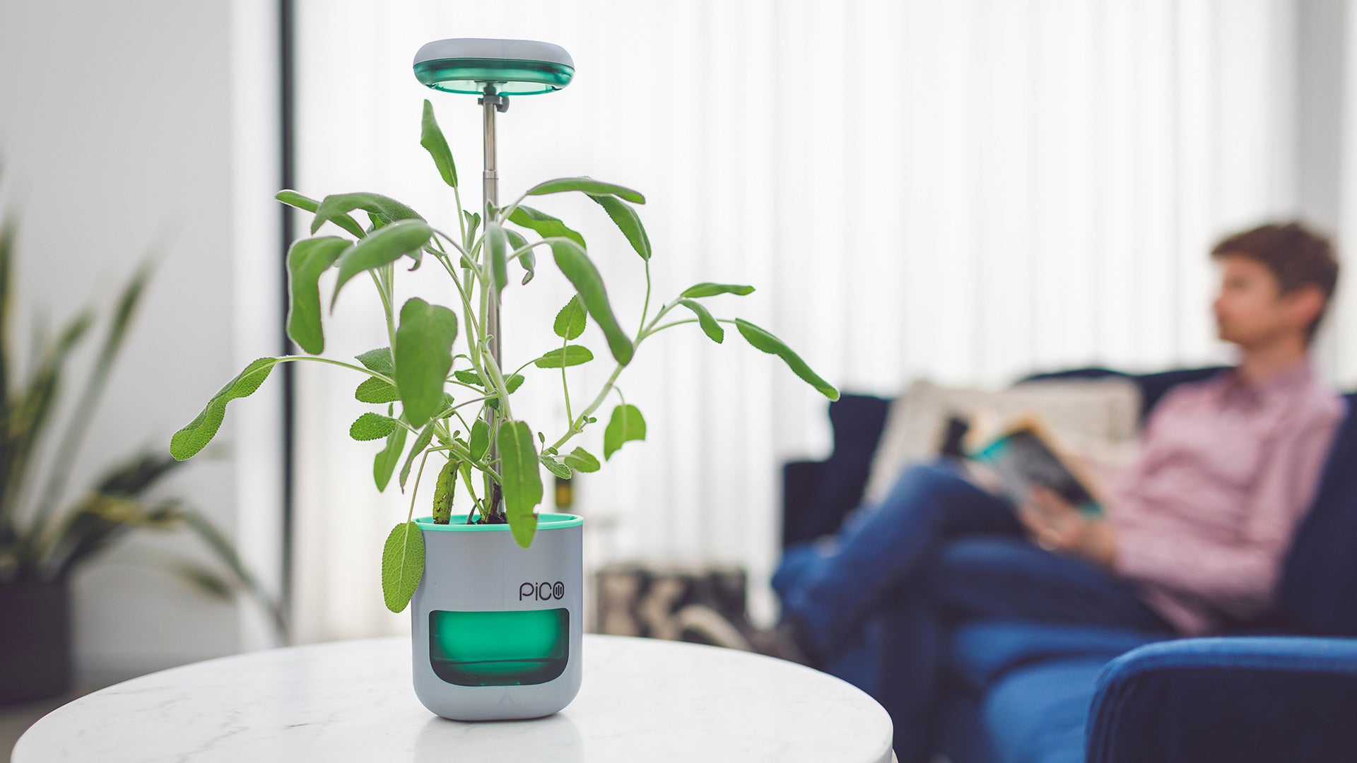 Altifarm PICO Smart Planter: Self-watering & LED Light Pico Sea Green