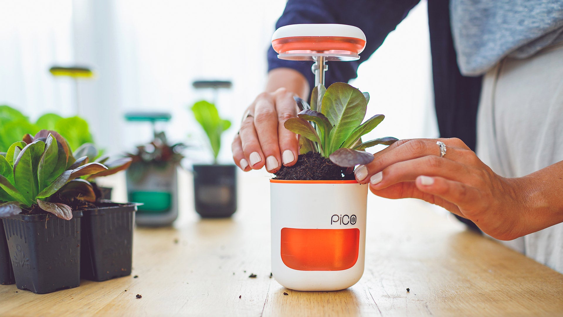 Altifarm PICO Smart Planter: Self-watering & LED Light Pico White Coral