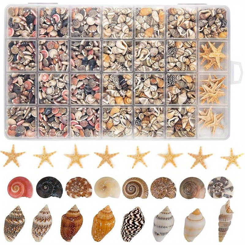 TEMU 1200pcs Tiny Seashells& 21 Starfish Mixed Bulk Beach Small Shells For Home Decor, Beach Theme Party Decorations, Fish Tank Aquarium Decor, Sea