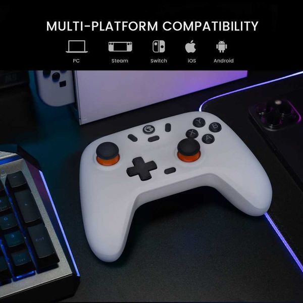 Game Controllers Joysticks GameSir Nova Lite Gamepad Controller with Bluetooth Dongle Wired for Switch Android PC Steam Games L240910