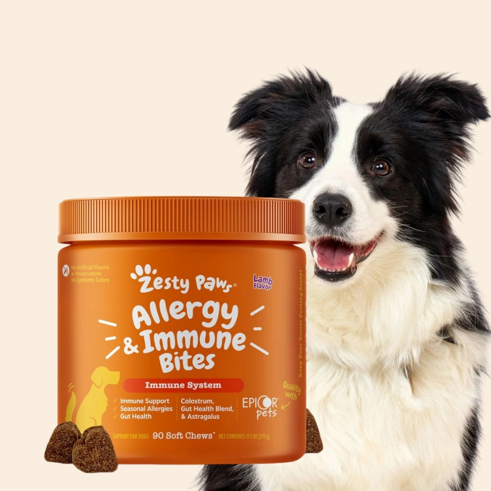 TEMU 3 Dog Chews 90 Count - Skin & Coat Supplement With Probiotics For Relief | Lamb Flavor Soft Treats