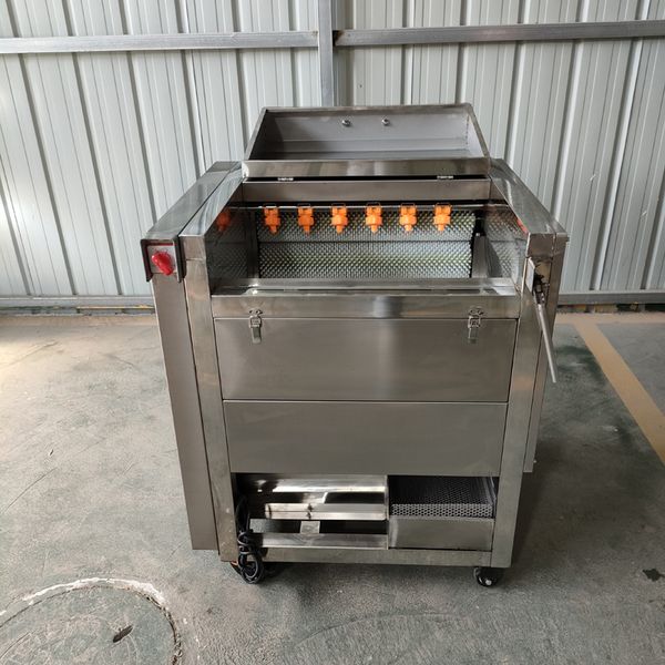 Commercial Stainless Steel Potato Ginger Turmeric Onion Carrot Radish Taro Cassava Brush Peeling And Cleaning Machine