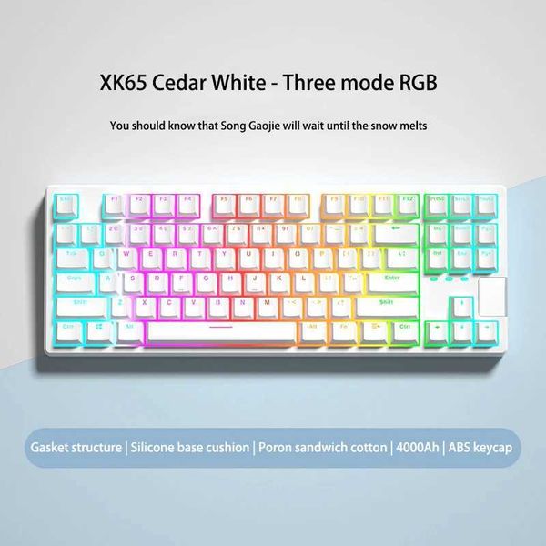 Keyboards mechanical gaming keyboard 87 keys hot-swappable shaft three mode White RGB light water xinmeng X87 y240910