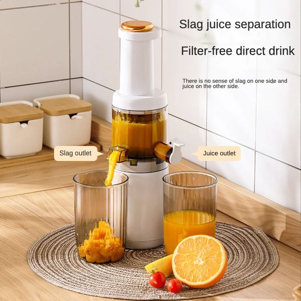 Mini Slow Juicer Screw Cold Press Extractor Patented Filter-Free Electric Fruit Vegetable Juicer Machine Modle-Portabable 250120