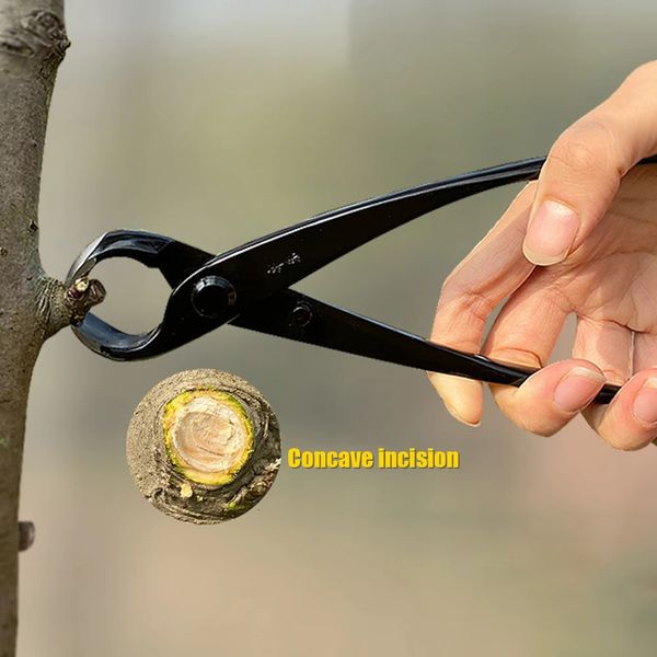 210mm Branch Cutter Garden Styling Maintenance Tools Bonsai Cutters Plants Pruner Potted Tree Knots Pruning Pliers 231228