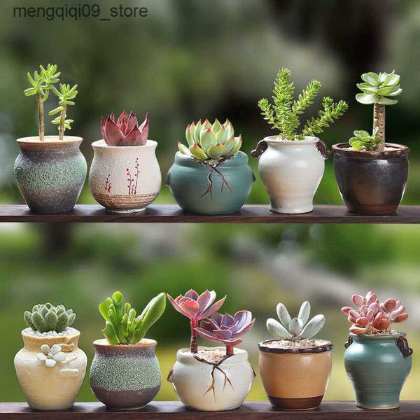 Planters Pots Meat flowerpot ceramic gardening ceramic Mini new product creative coarse ceramic household new product porcelain pot L240910