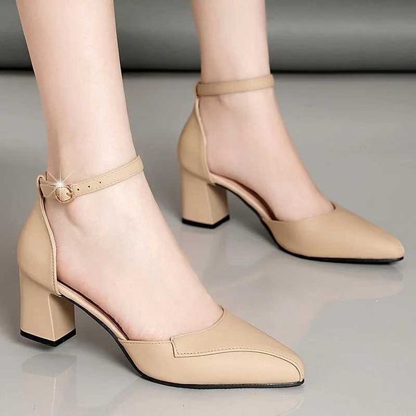 Elegant Womens High Heels New 2024 Spring Summer Versatile Ankle Strap Mules Pointed Toe Thick Heel Mary Jane SandalsC241126