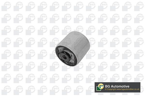 Mounting, control-trailing arm BGA BU0133