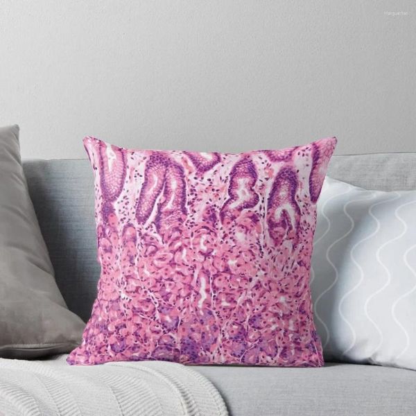 Pillow Stoh Histology Throw Sofa Covers For Living Room Cover Christmas Pillows