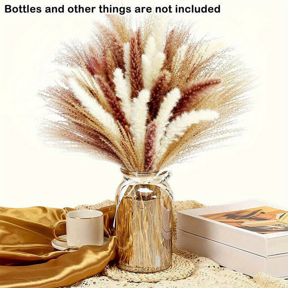 TEMU 60pcs 7.9-11.8in Natural Dried Pampas Reeds Flower Bouquets, Fluffy Swinging Natural Dried Flowers Arrangements Dried Reed Plumes, For Many