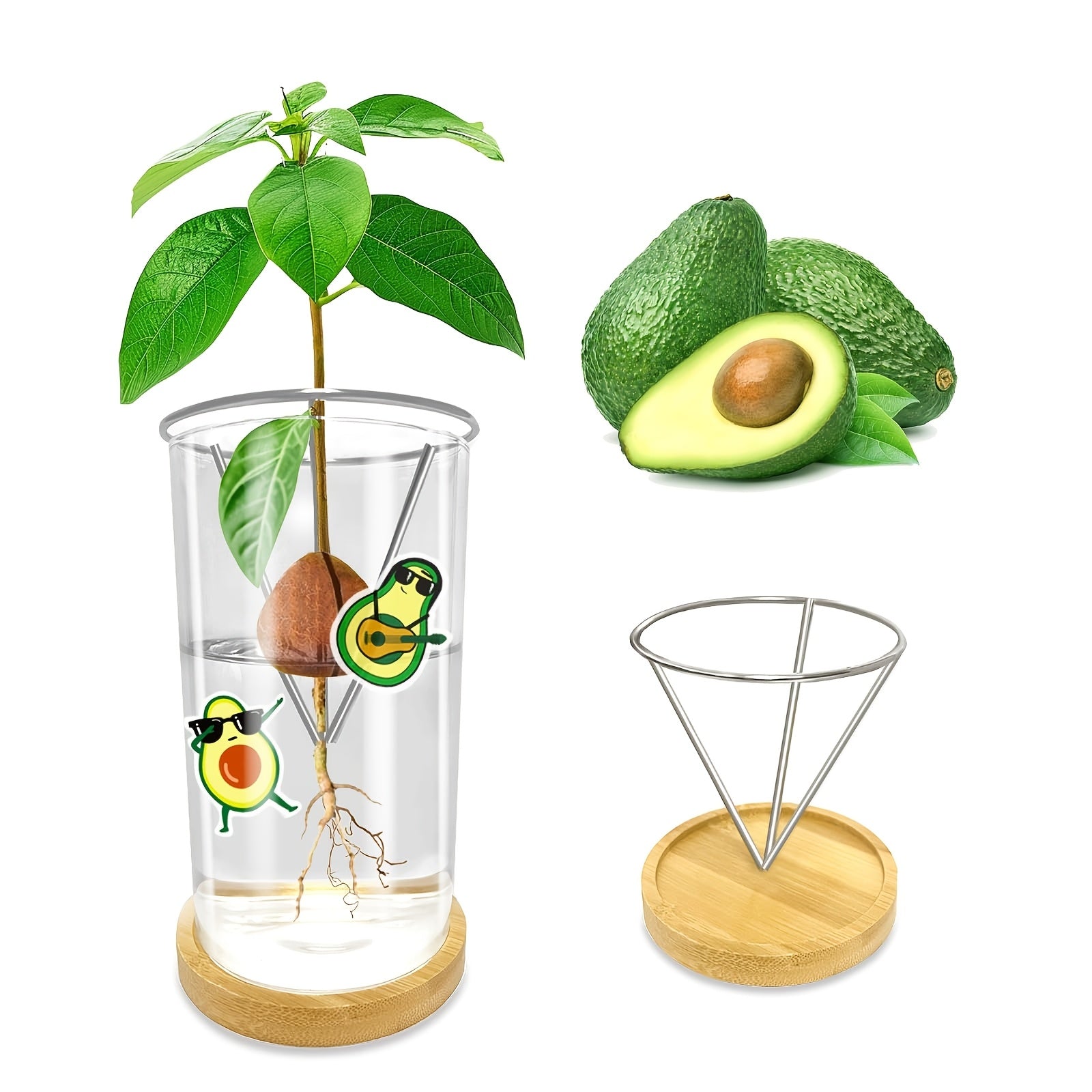 TEMU Avocado Seed Starter Kit - Transparent Glass & Metal Vase With Base And Sticker, Indoor Growth, Ideal Gift For Gardening Enthusiasts