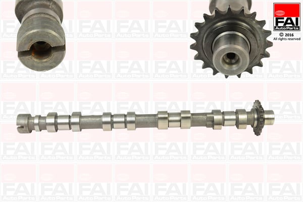 Camshaft FAI AutoParts C363