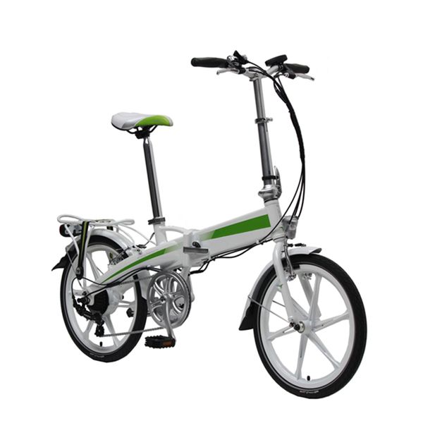 20&quot; Easy Rider Electric Bike 7-Speed 36V250W Motor Foldable Electric Bikes For Adults