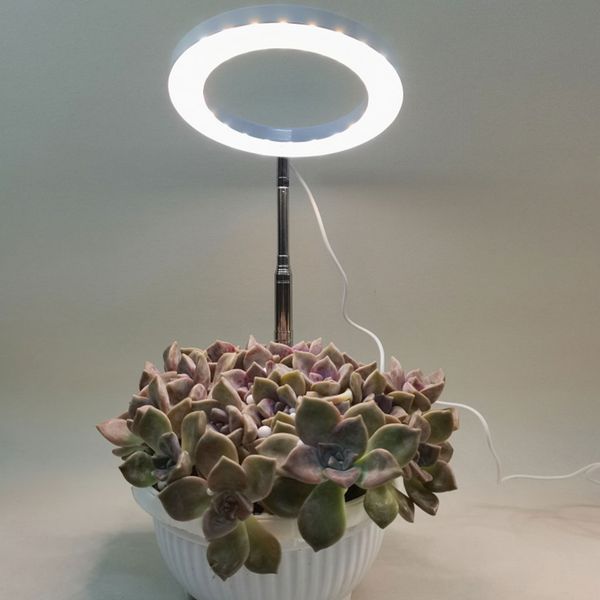 Plant Light LED Height Adjustable And Easy To For Indoor Plants Wide Range Of Applications Grow Lamp