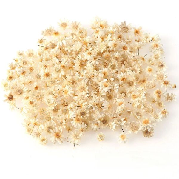 100-500 Pcs Multicolor Mini Dried Flowers Diy Art Craft Epoxy Resin Candle Making Jewellery Home Party Decorative Free Shipping