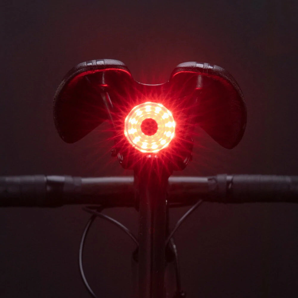 ROCKBROS 100LM Bike Tail Light Brake-activated Rear Lights 7 Modes USB Rechargeable Safety Warning Lamp