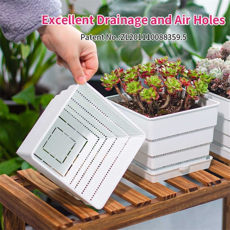 Meshpot 10cm 12cm 15 cm Plastic Flower Pot Bonsai Garden Planter Succulent -Cactus Root Control Pot Good Drainage with Air Holes 210615