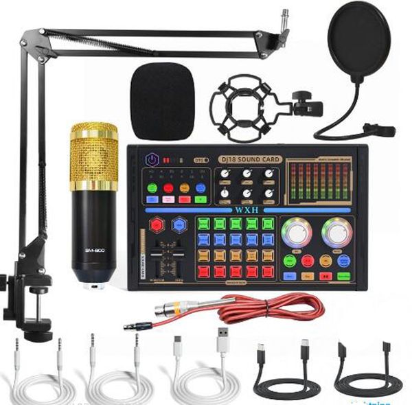 BM 800 DJ18 Professional Audio Microphones V8 Pro Sound Card Set BM800 Mic Studio Condenser for OTG Type-C TV Live Vocal Recording Podcast P