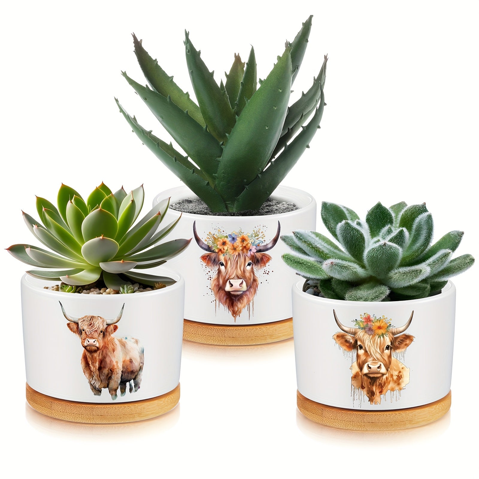 TEMU 3pcs Highland Cow Decor Gift For Christmas Women Planter Ceramic Gift Animal Plant Pot With Bamboo Tray For Office House Bathroom Kitchen