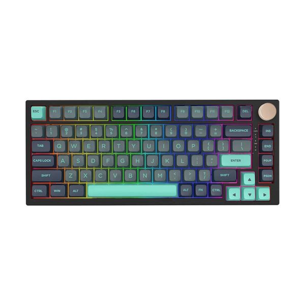 Keyboards VGN N75 Wired RGB Gaming Keyboard 75% Layout Hot-Swappable Mechanical Keyboard with Metal Volume Knob for Games and Work y240910