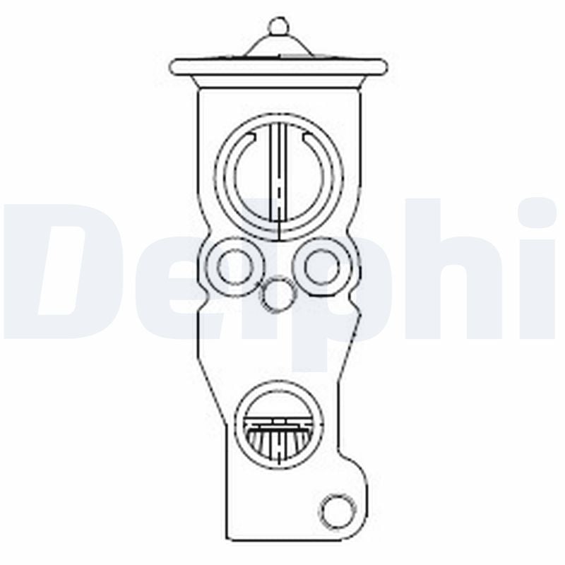Expansion Valve, air conditioning DELPHI CB1018V