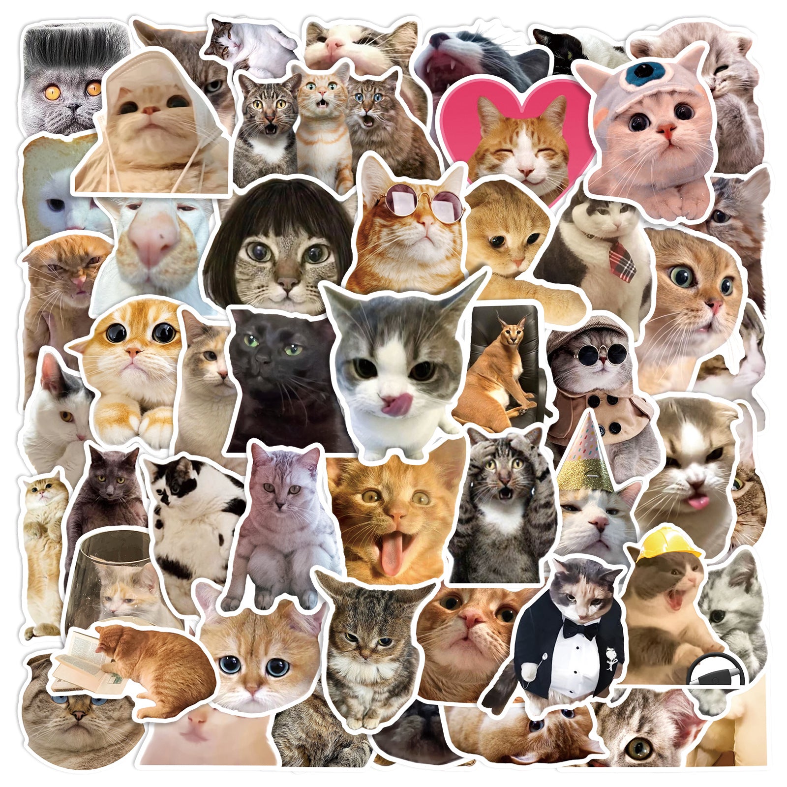 50 realistic kitten cute expression stickers creative decorative water cup notebook non-repeating waterproof PVC stickers