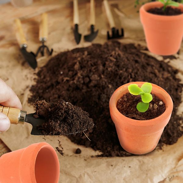 20 Pcs Mini Clay Planter 12 Inch Terracotta Pots Small Plant and Flower with Drainage Holes Succulents Nursery 241210