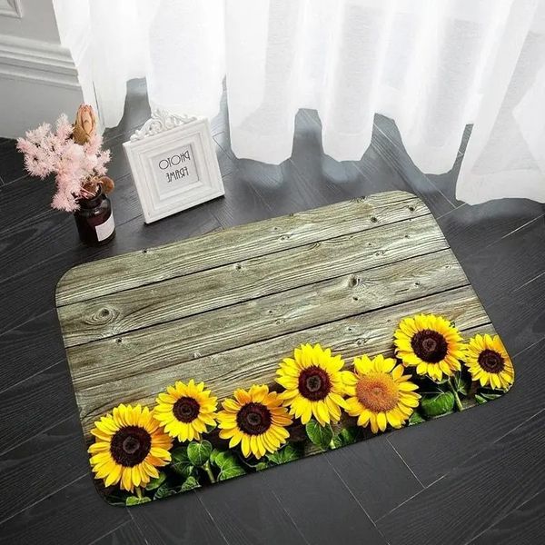 Bathroom, Kitchen, Bedroom Door Mat, Absorbent Sponge Floor Mat LN1262