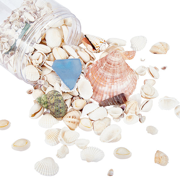 Natural Shell Beads and Sea Glass Chip Beads