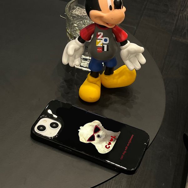 ddmygifts Instagram style niche trendy cool dog 15 suitable for 13 Pro Max phone case 12 Soft 11 Anti drop 14 A