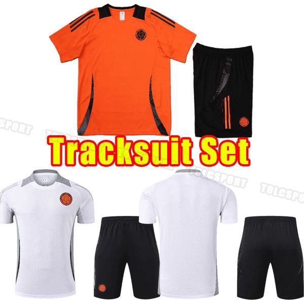 24 25 Colombia tracksuits 2024 2025 JAMES copa america football shirt FALCAO Camiseta de futbol maillot manadult training set Short long sle