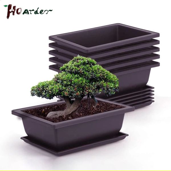 Training cans with trays plastic bonsai plants square flower pots juicy training tray 240824