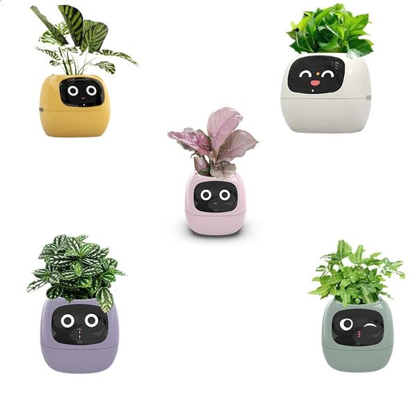 Ivy smart plant USB charging indoor small werpot used for decoration making growth simple and interesting 240823