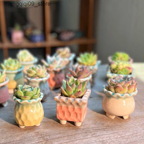 Planters Pots Succulent flowerpot simple macaron gradient color ice cracked glaze creative interior decoration thumb pot ceramic flowerpot L