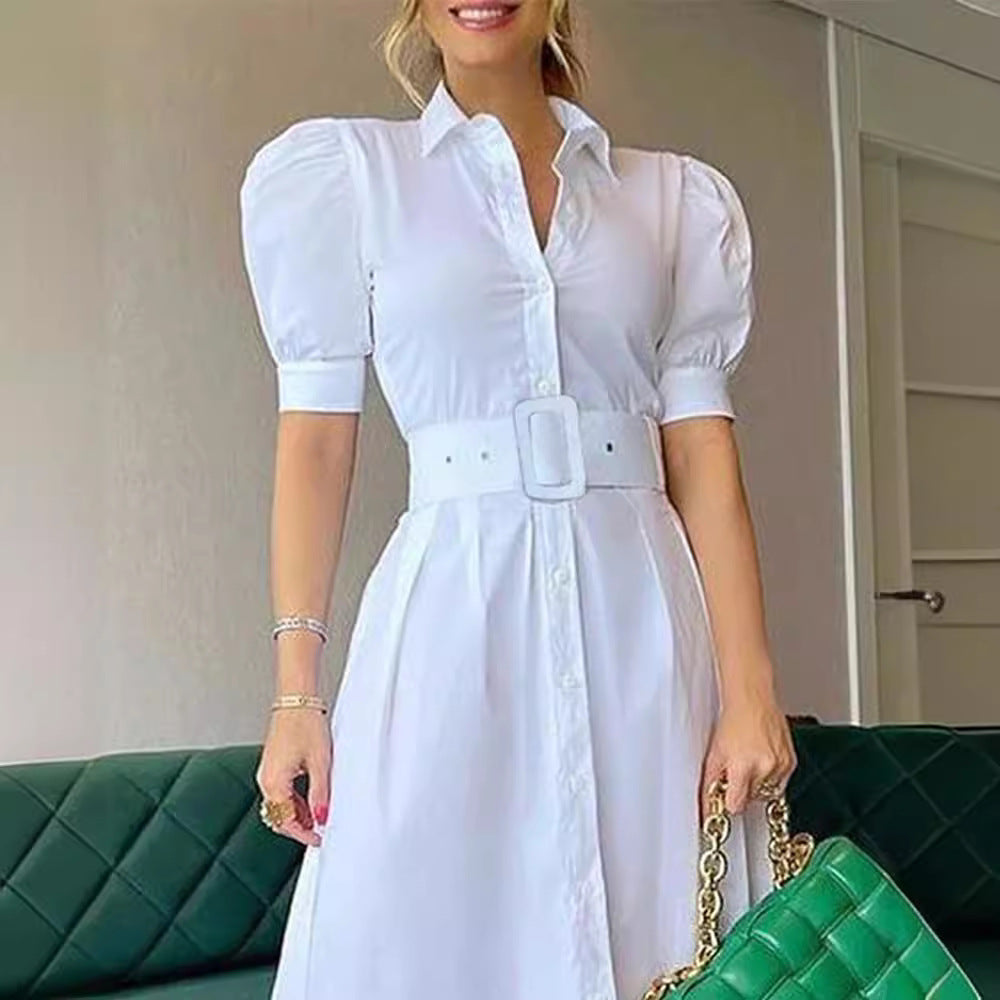 L610New cross-border European and American temperament commuter long short-sleeved swing dress