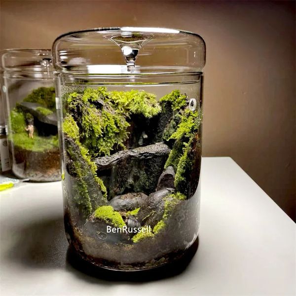 Micro Landscape Glass Bottles Creativity Dew Collection Glass Vase Sculpture Moss Bansai Landscape Glass Terrarium Home Decor 241125