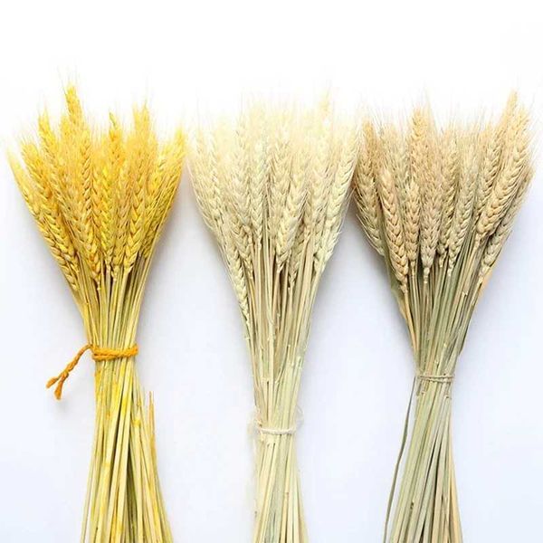 Natural as Grass Plants Real Wheat Natural Dried Flowers For Decoration Wedding Party He Decor Christmas Decorations 2022T250122