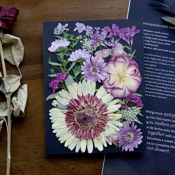 60pcs seco Wer Set - Autentic Beauty Atenção, recados de arte adequados, criações, marcadores elegantes, artesanato de bricolage, perfeito p
