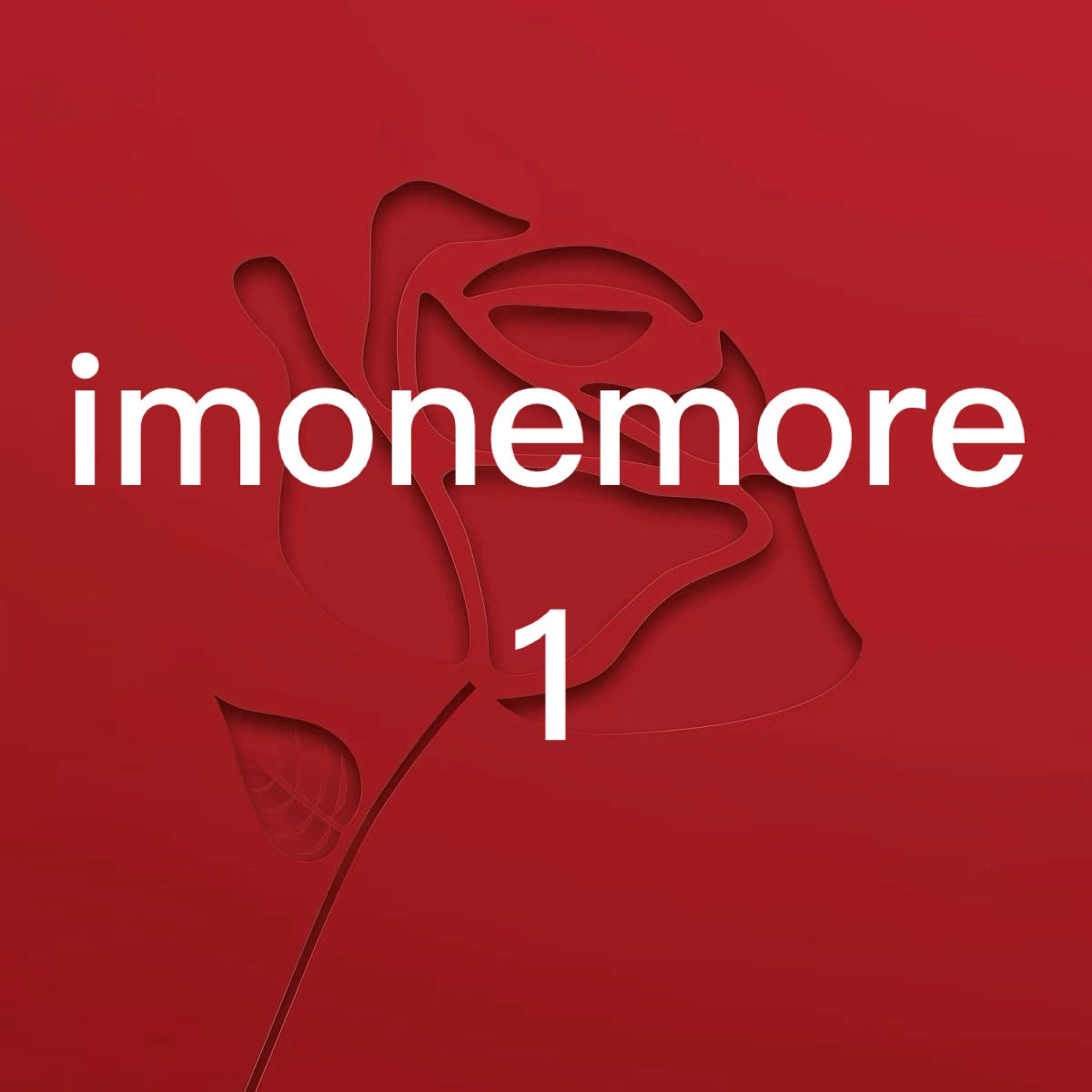 VIP payment link for im-one-more&#039;s fans: designer bags shoes clothes watches perfumes jewelry luggage accessories luxury brand high quality col