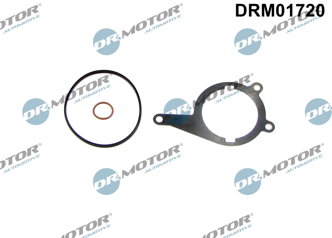 Gasket, vacuum pump Dr.Motor Automotive DRM01720