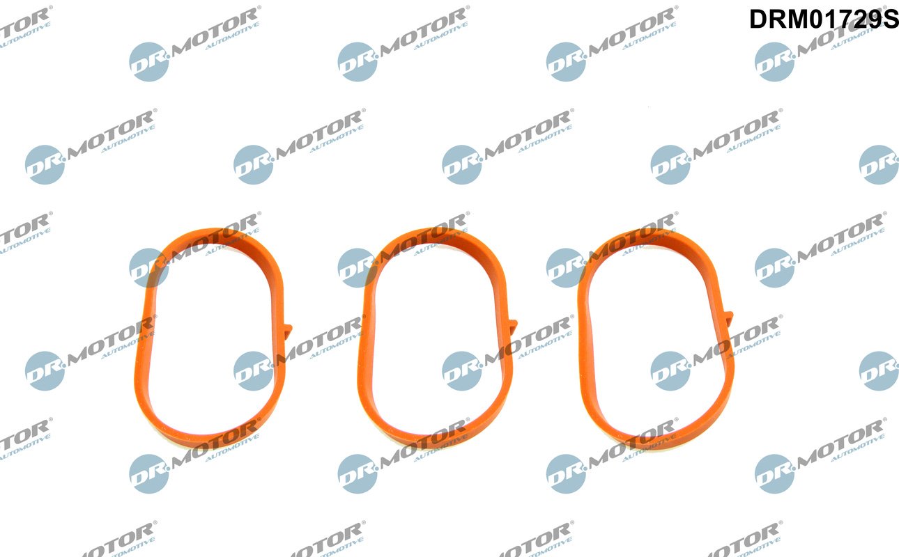 Gasket Set, intake manifold Dr.Motor Automotive DRM01729S