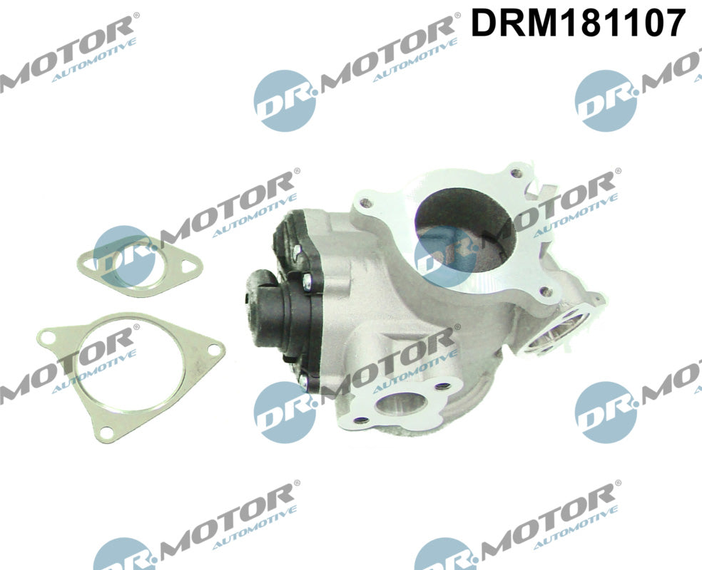 EGR Valve Dr.Motor Automotive DRM181107