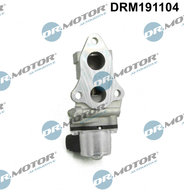 EGR Valve Dr.Motor Automotive DRM191104