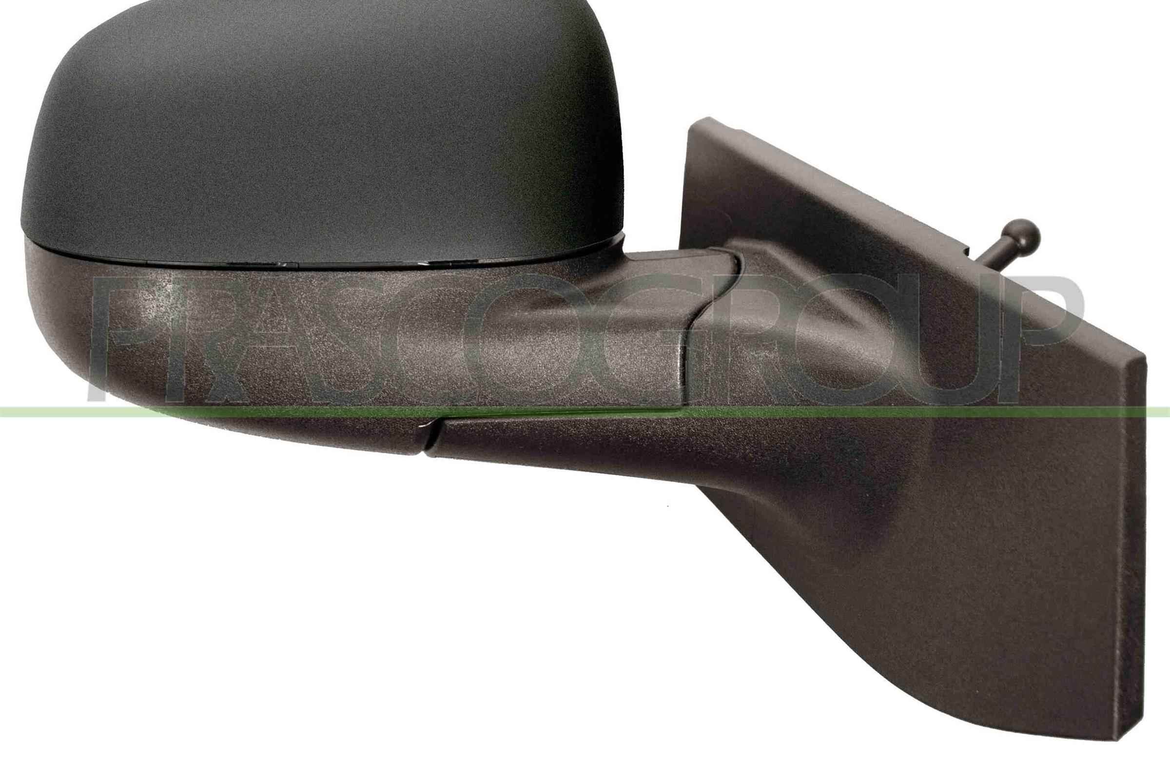 Exterior Mirror PRASCO DW3407113