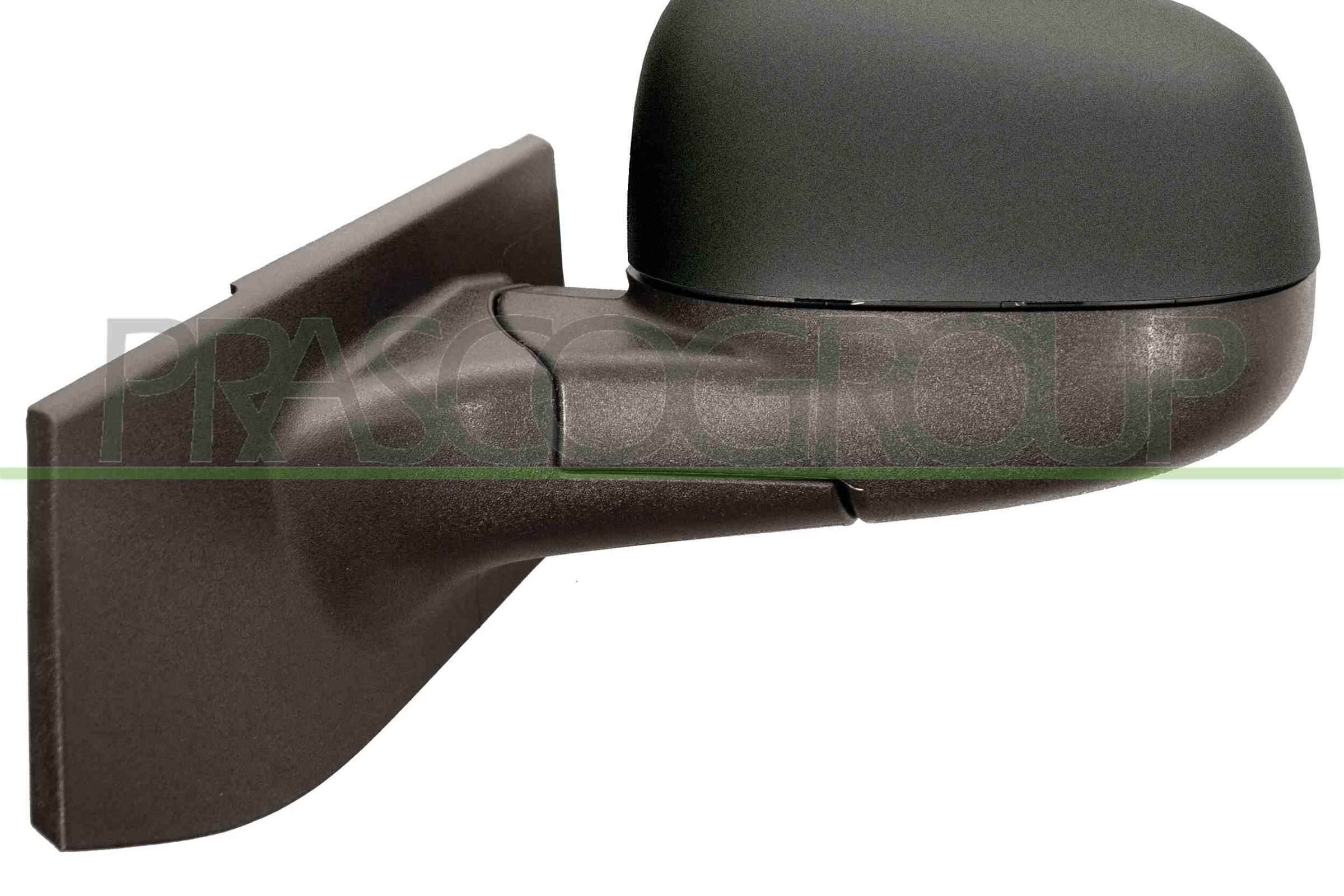 Exterior Mirror PRASCO DW3407304